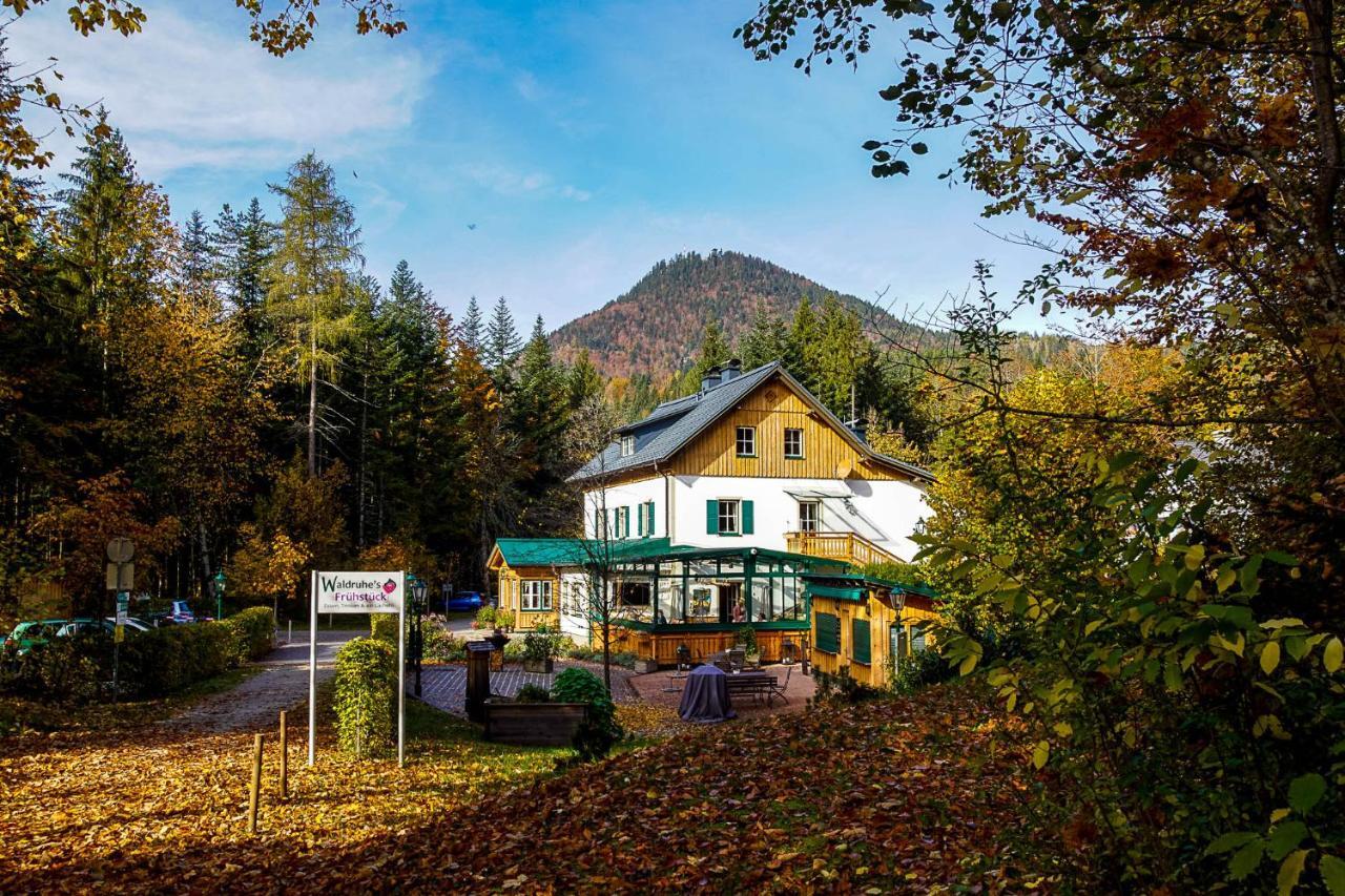 Waldruhe - Bett, Fruehstueck & Ein Laecheln Bed & Breakfast Bad Aussee Eksteriør bilde